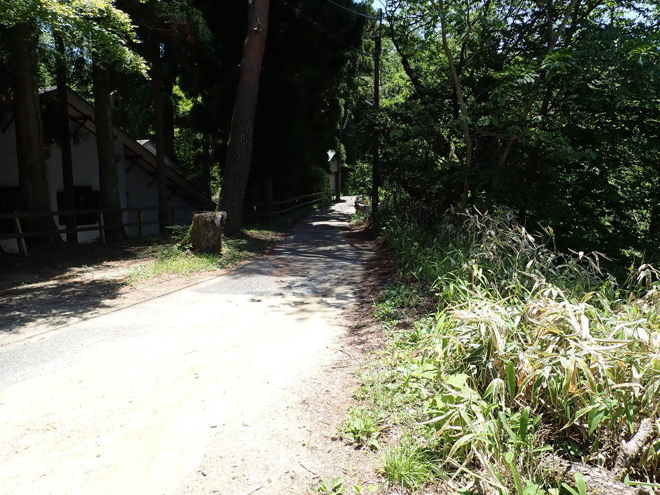 P6018152_mid.jpg