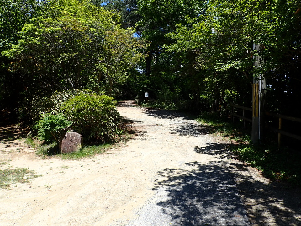 P6018154_mid.jpg