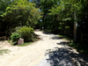 P6018154_thumb.png