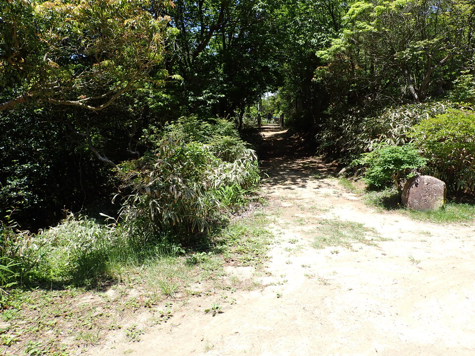 P6018155_mid.jpg