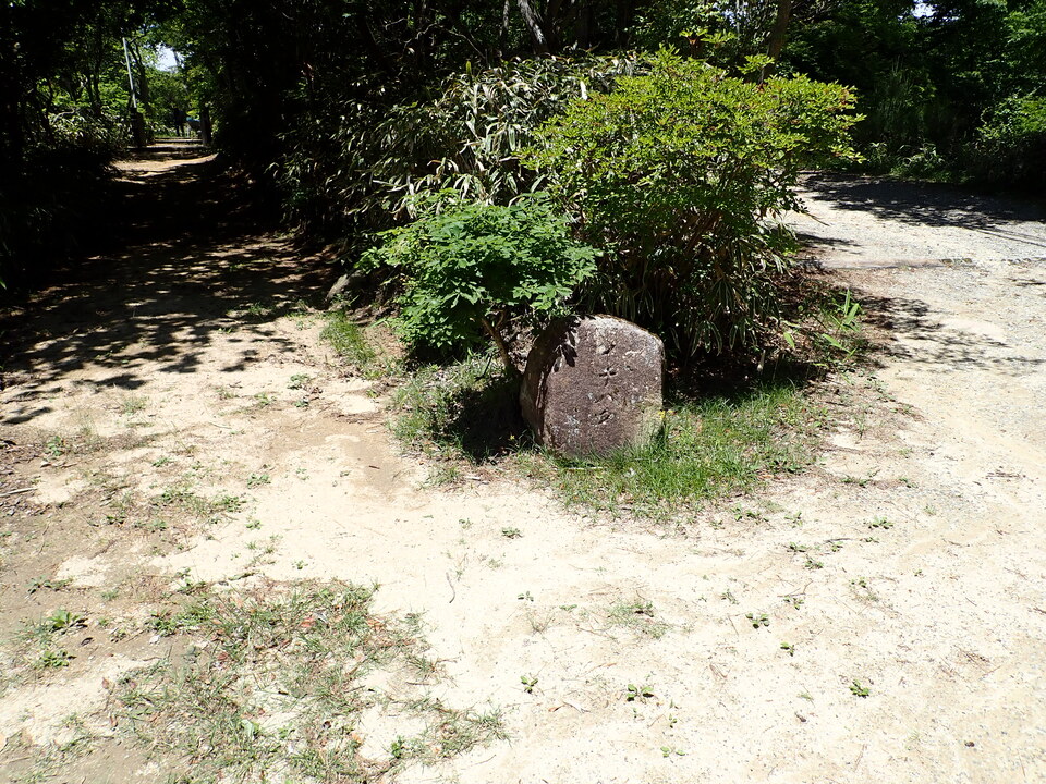 P6018156_mid.jpg