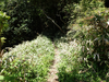 P6018157_thumb.png