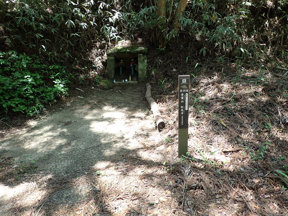 P6018159_mid.jpg