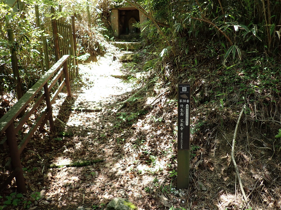 P6018161_mid.jpg
