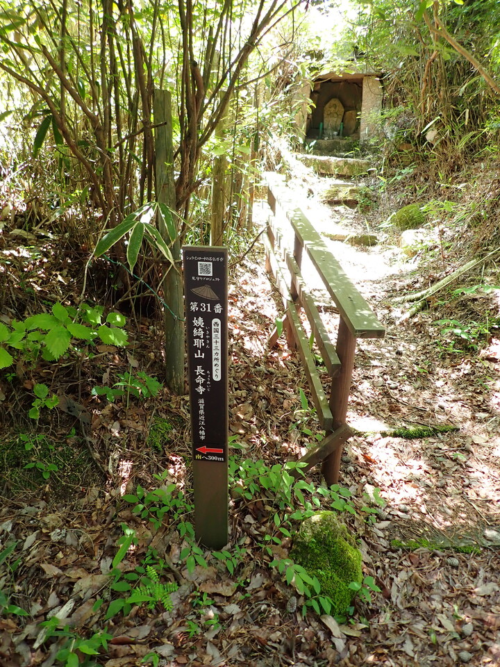 P6018163_mid.jpg