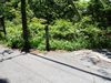 P6018164_thumb.png