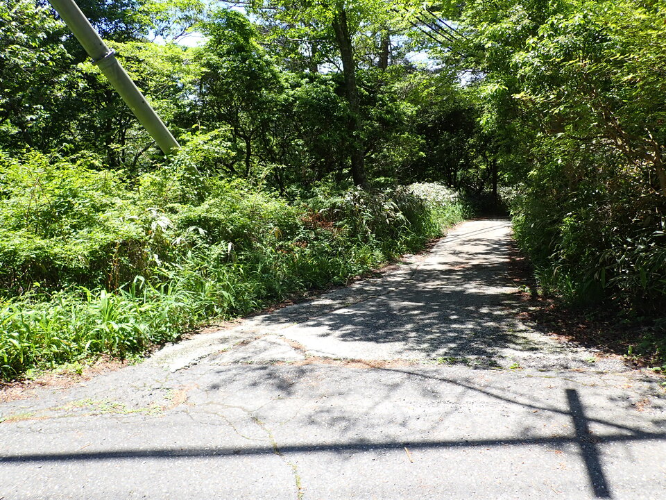 P6018165_mid.jpg
