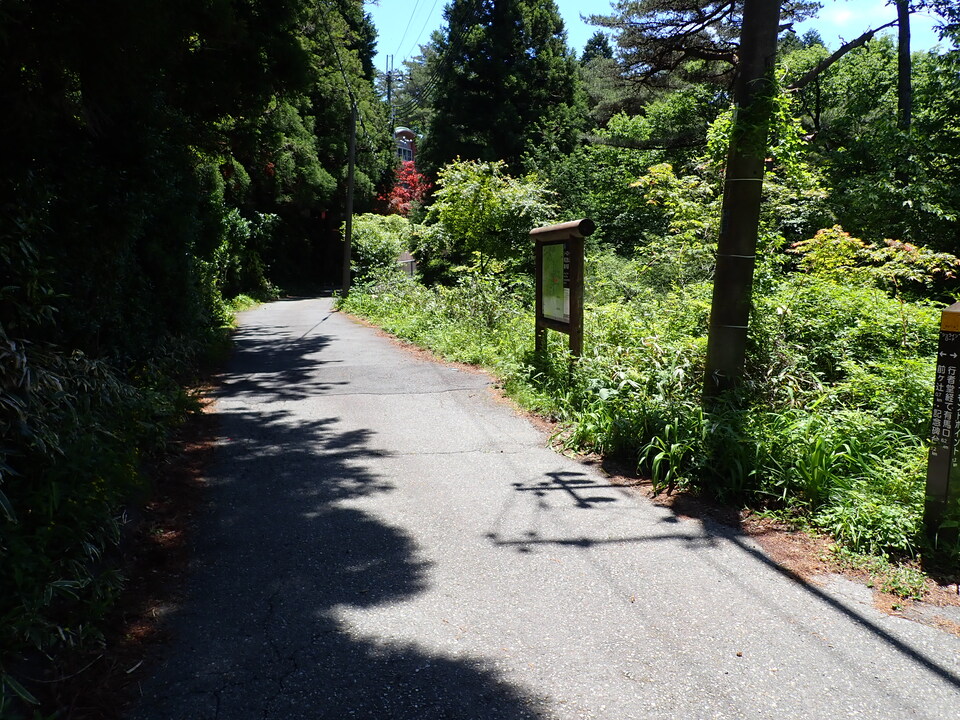 P6018166_mid.jpg