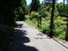 P6018166_thumb.png