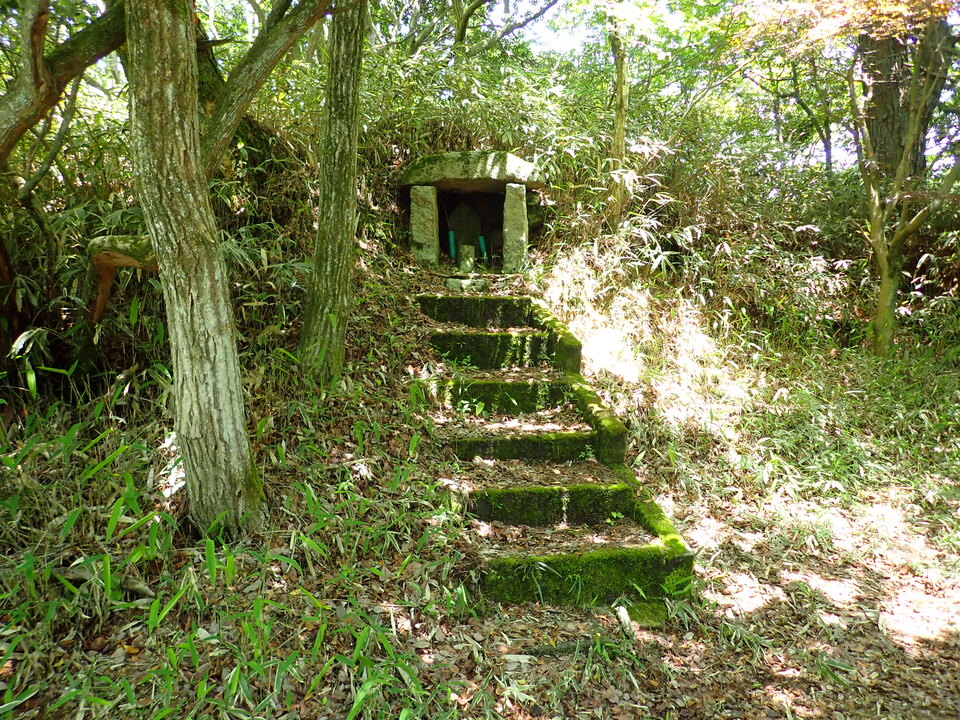 P6018168_mid.jpg
