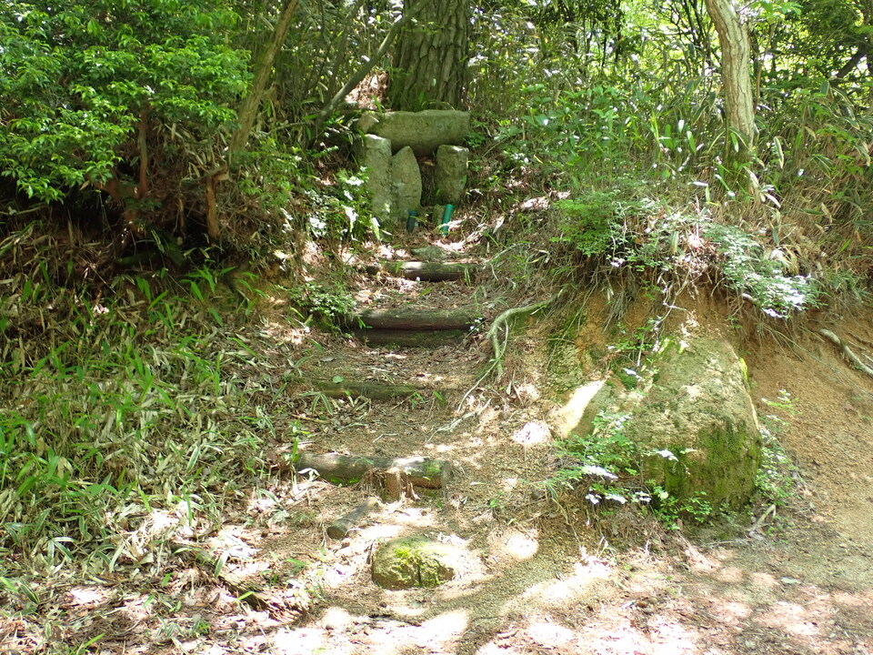 P6018169_mid.jpg