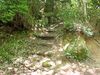P6018169_thumb.png
