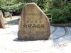 P6018184_thumb.png