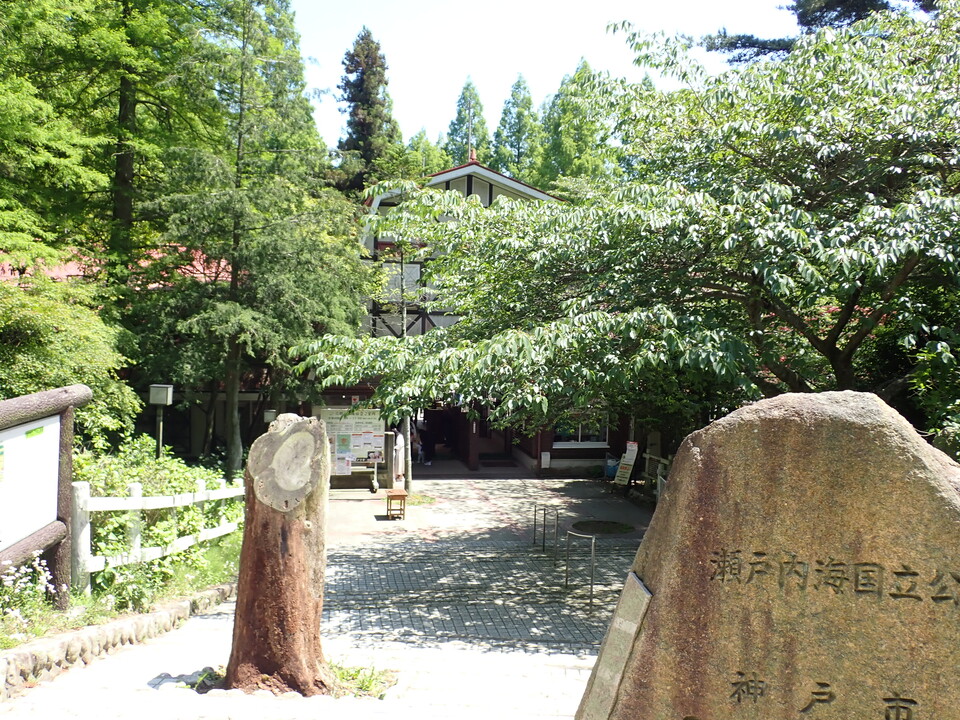 P6018185_mid.jpg