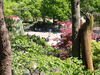 P6018186_thumb.png