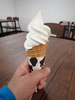 P6018187_thumb.png