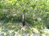 P6018192_thumb.png