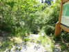 P6018193_thumb.png