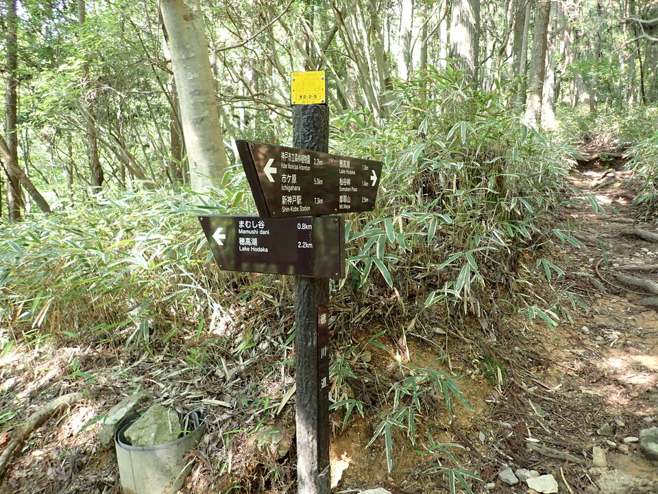 P6018200_mid.jpg
