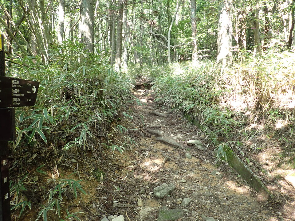 P6018201_mid.jpg
