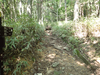 P6018201_thumb.png
