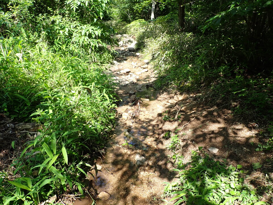 P6018205_mid.jpg