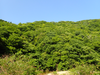 P6018208_thumb.png