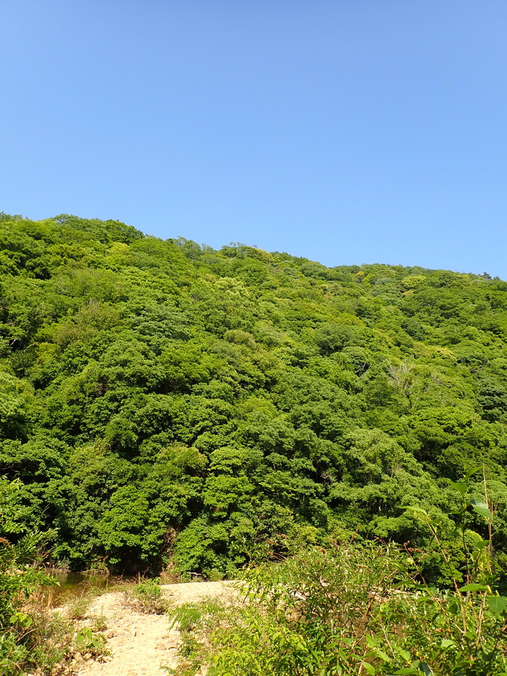 P6018210_mid.jpg