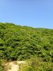 P6018210_thumb.png