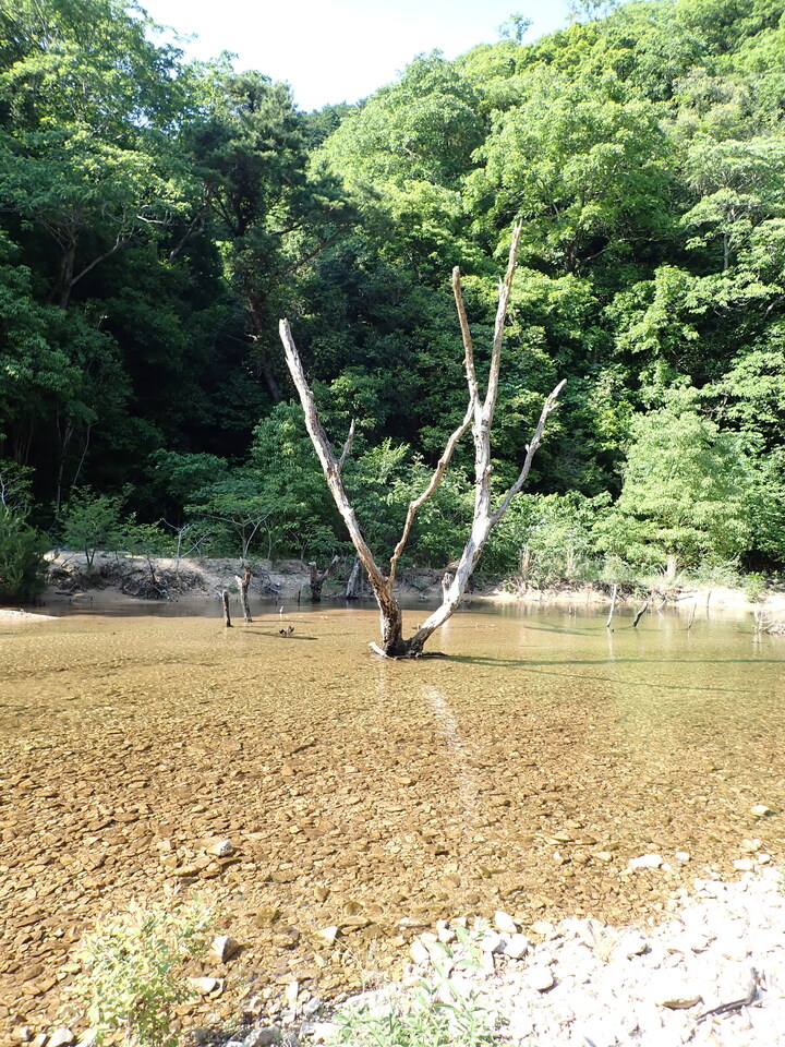 P6018211_mid.jpg