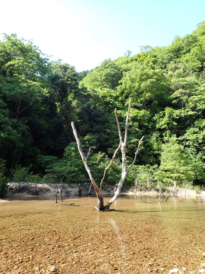 P6018212_mid.jpg