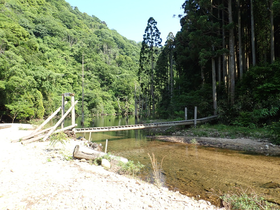 P6018213_mid.jpg