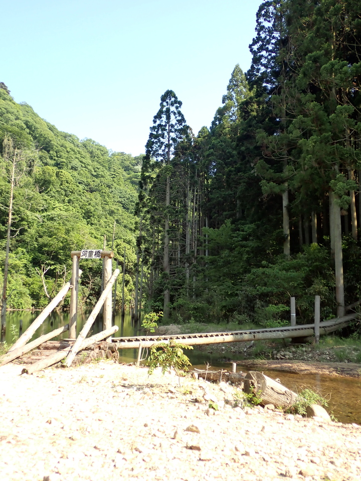 P6018214_mid.jpg