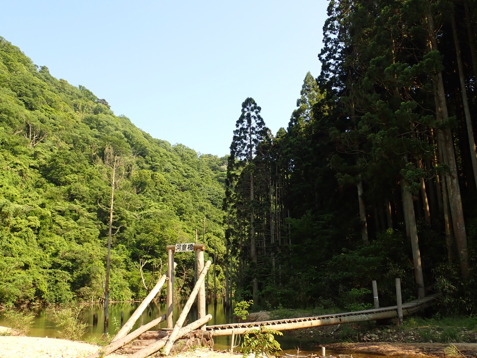 P6018216_mid.jpg