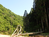 P6018216_thumb.png