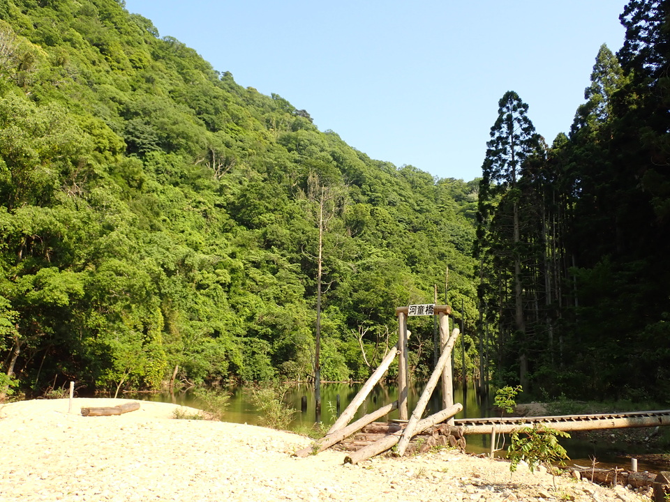 P6018217_mid.jpg