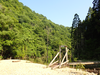P6018217_thumb.png
