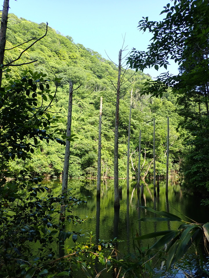 P6018218_mid.jpg