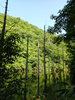P6018219_thumb.png