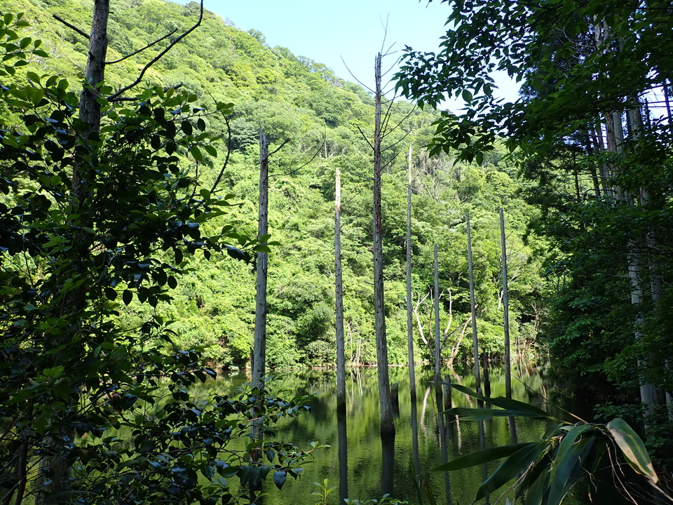 P6018220_mid.jpg