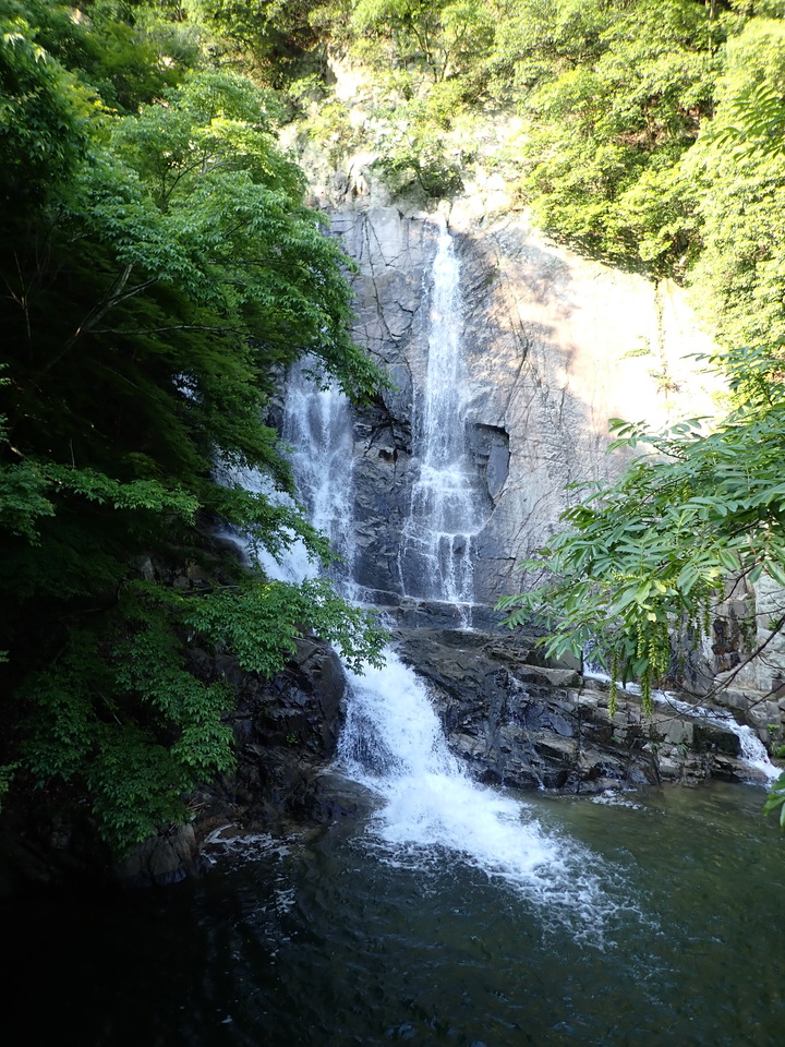 P6018228_mid.jpg