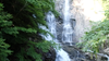 P6018230_thumb.png