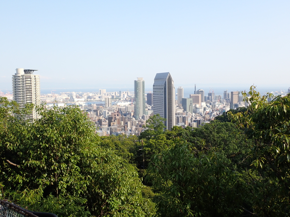 P6018232_mid.jpg