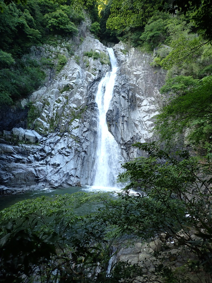 P6018233_mid.jpg