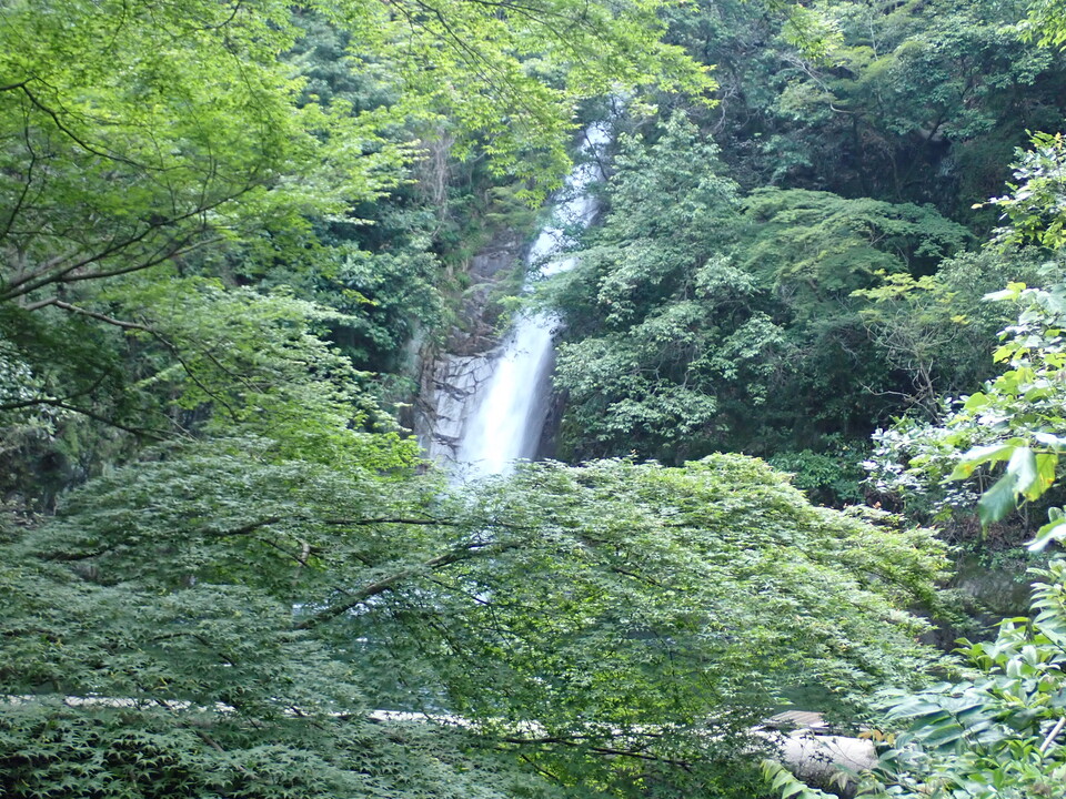 P6018247_mid.jpg