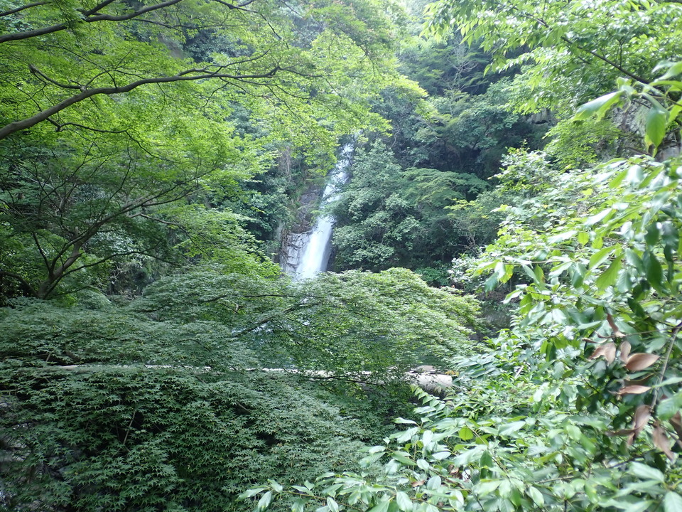 P6018249_mid.jpg