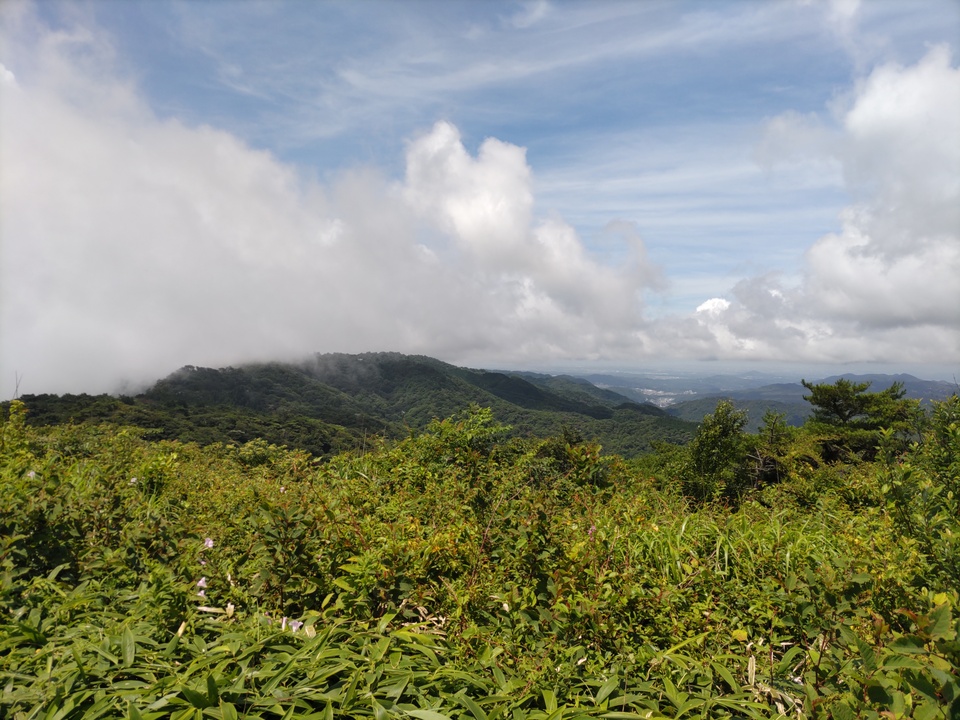 DSC_2913_mid.jpg