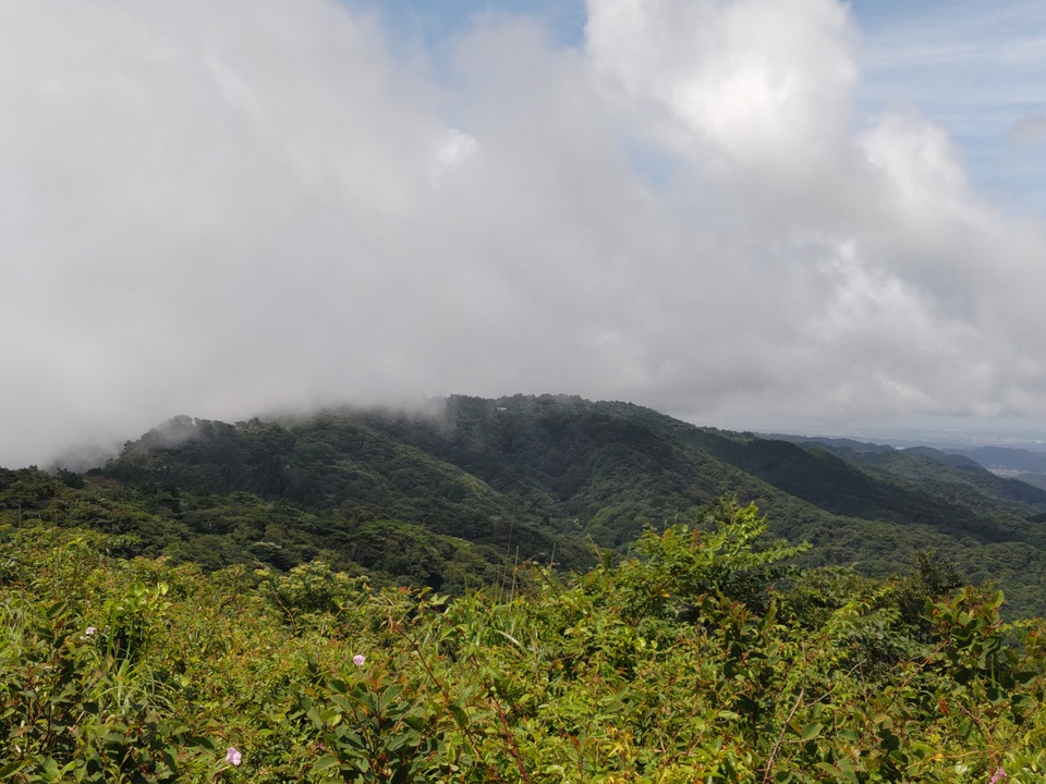 DSC_2914_mid.jpg