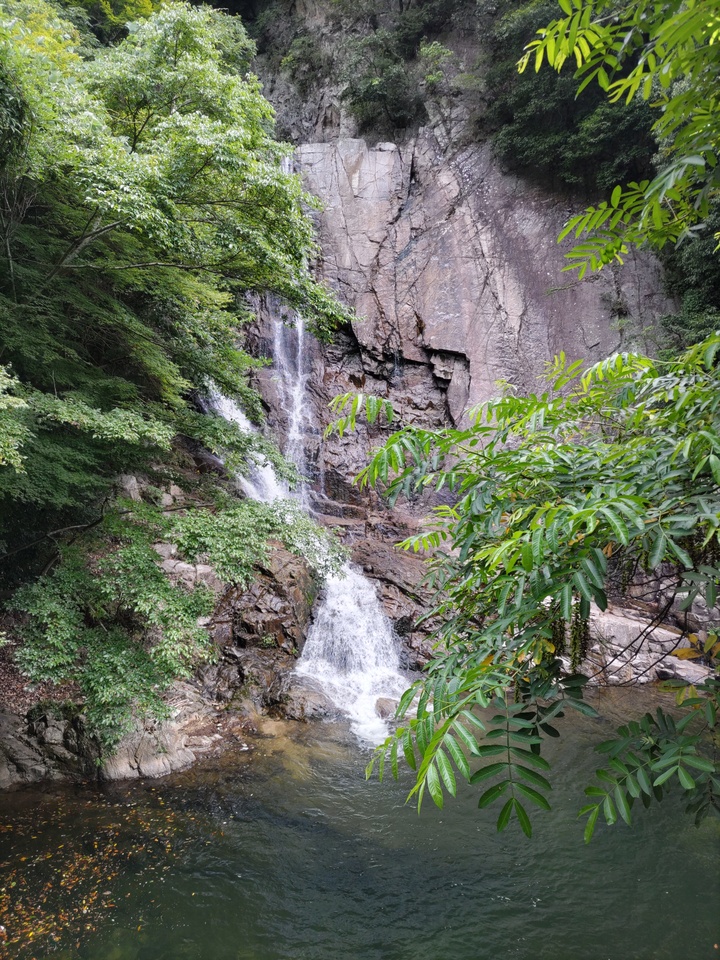 DSC_2955_mid.jpg