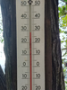 DSC_3030_thumb.png